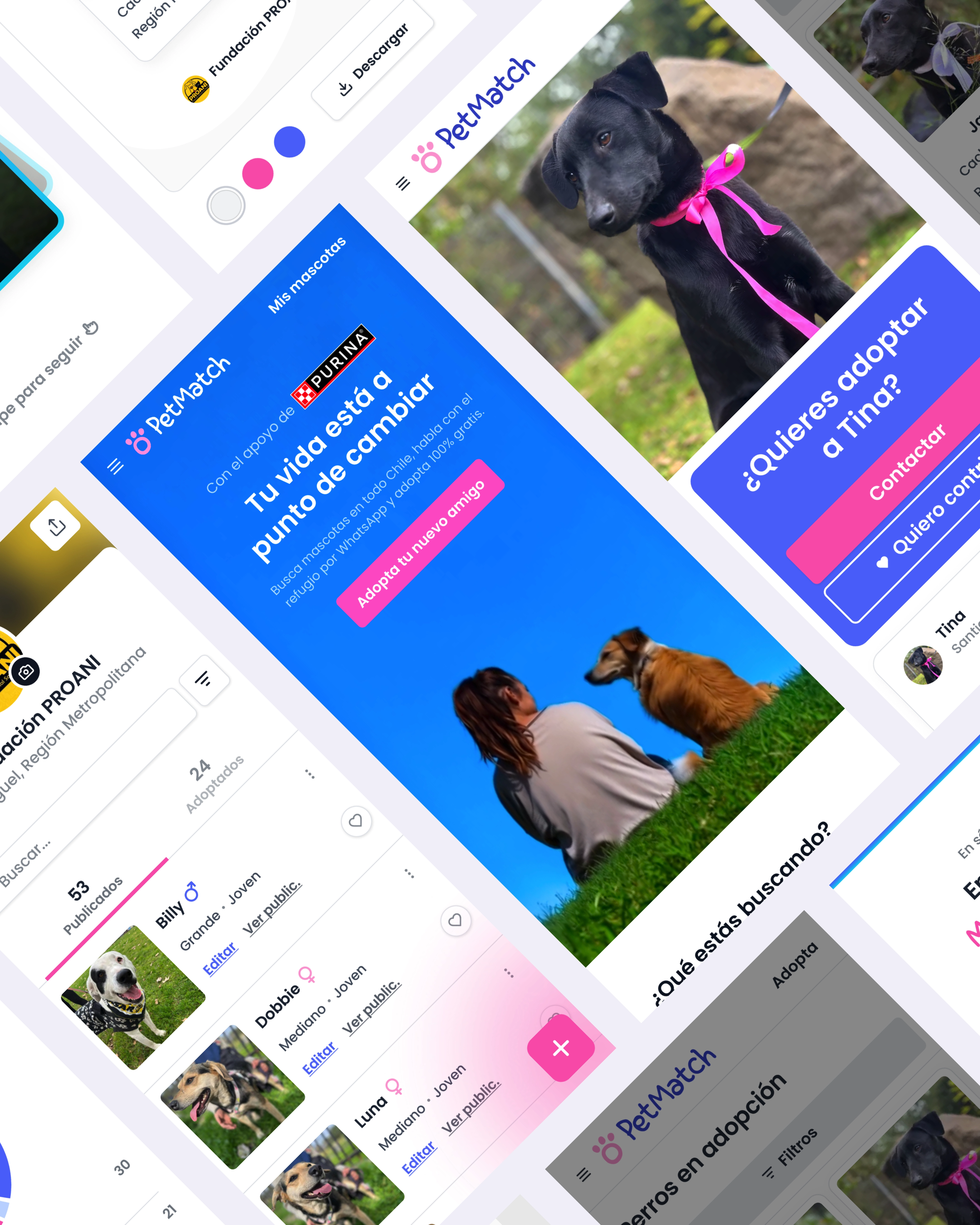 PetMatch collection of views