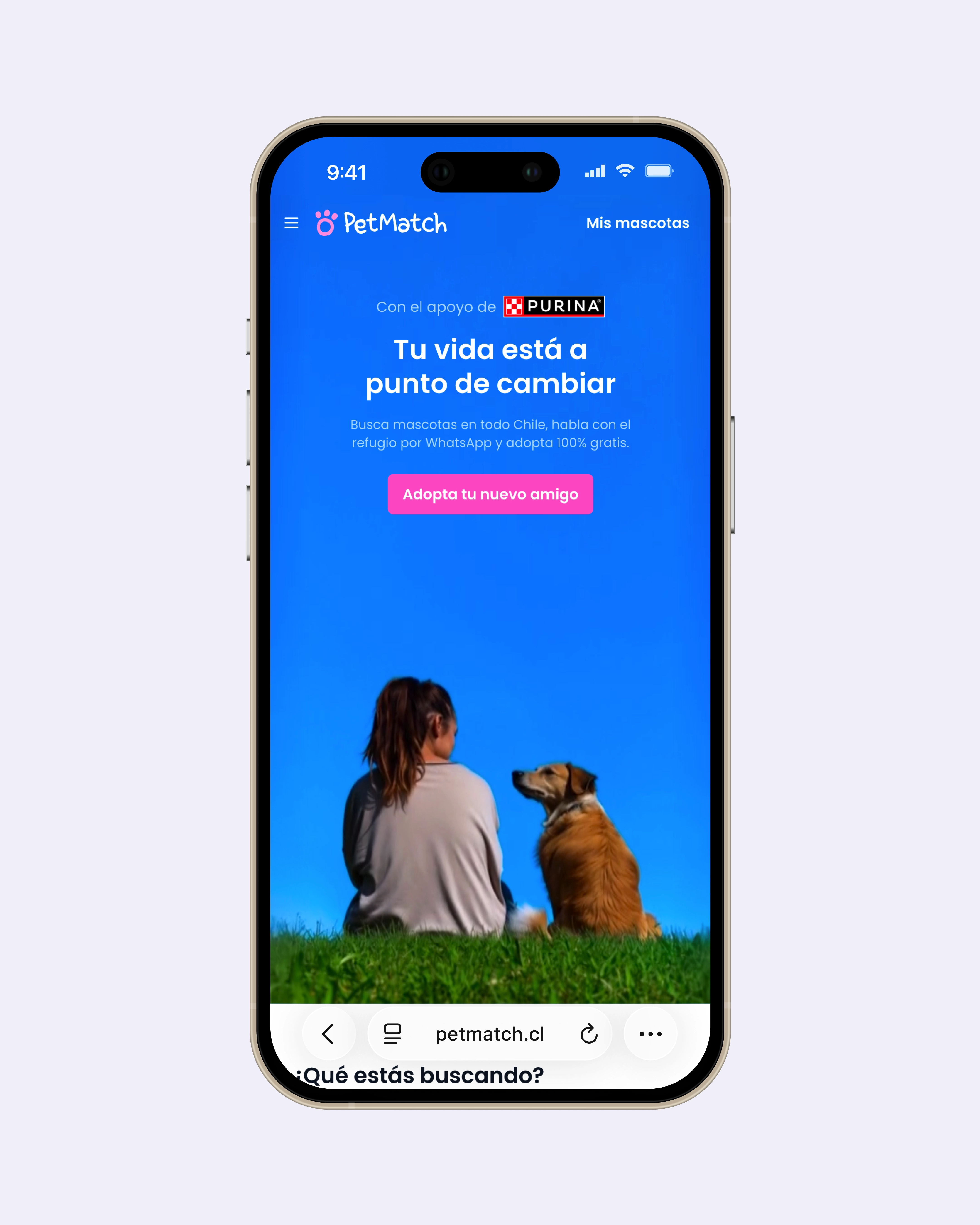 PetMatch landing page