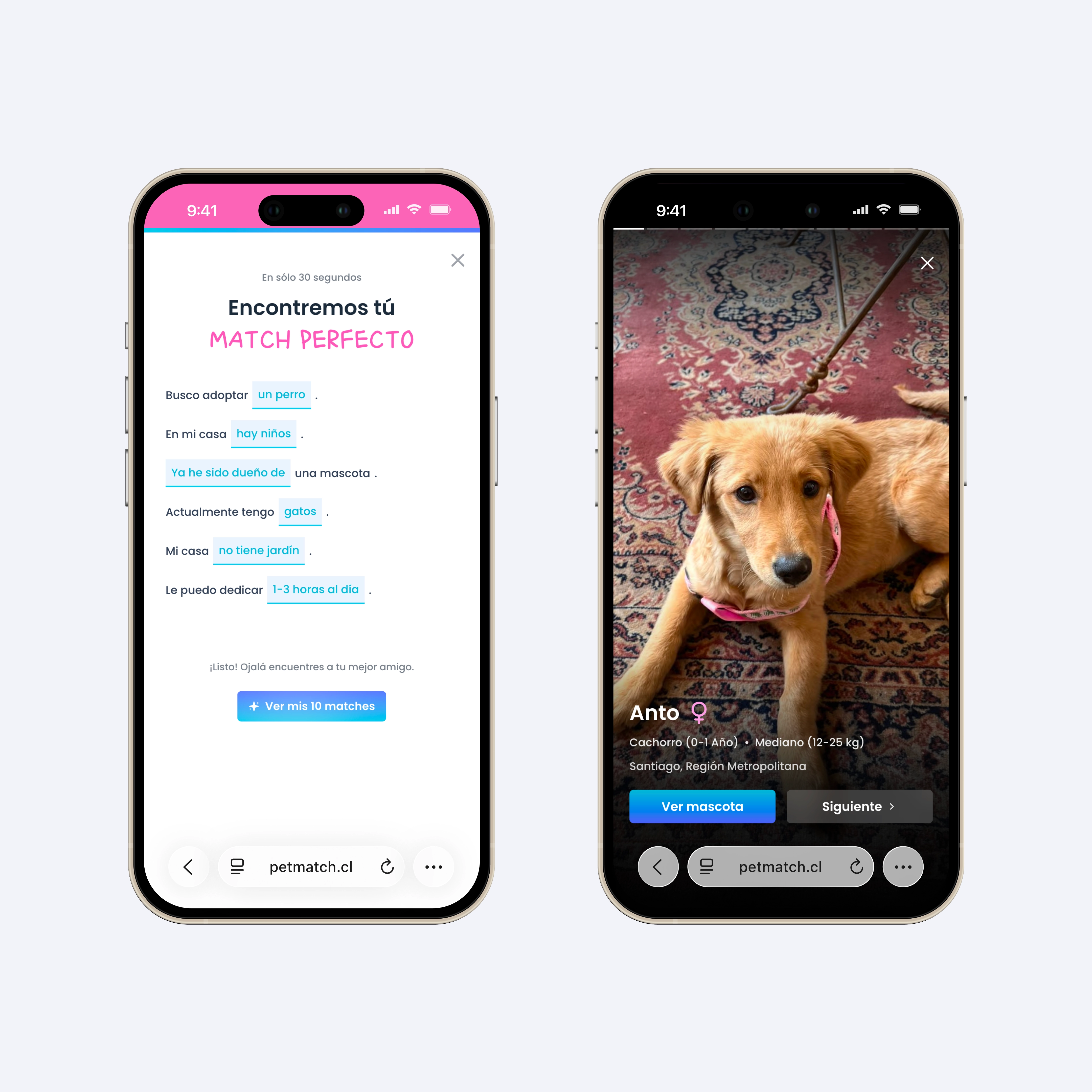 PetMatch flujo Encuentra tu match