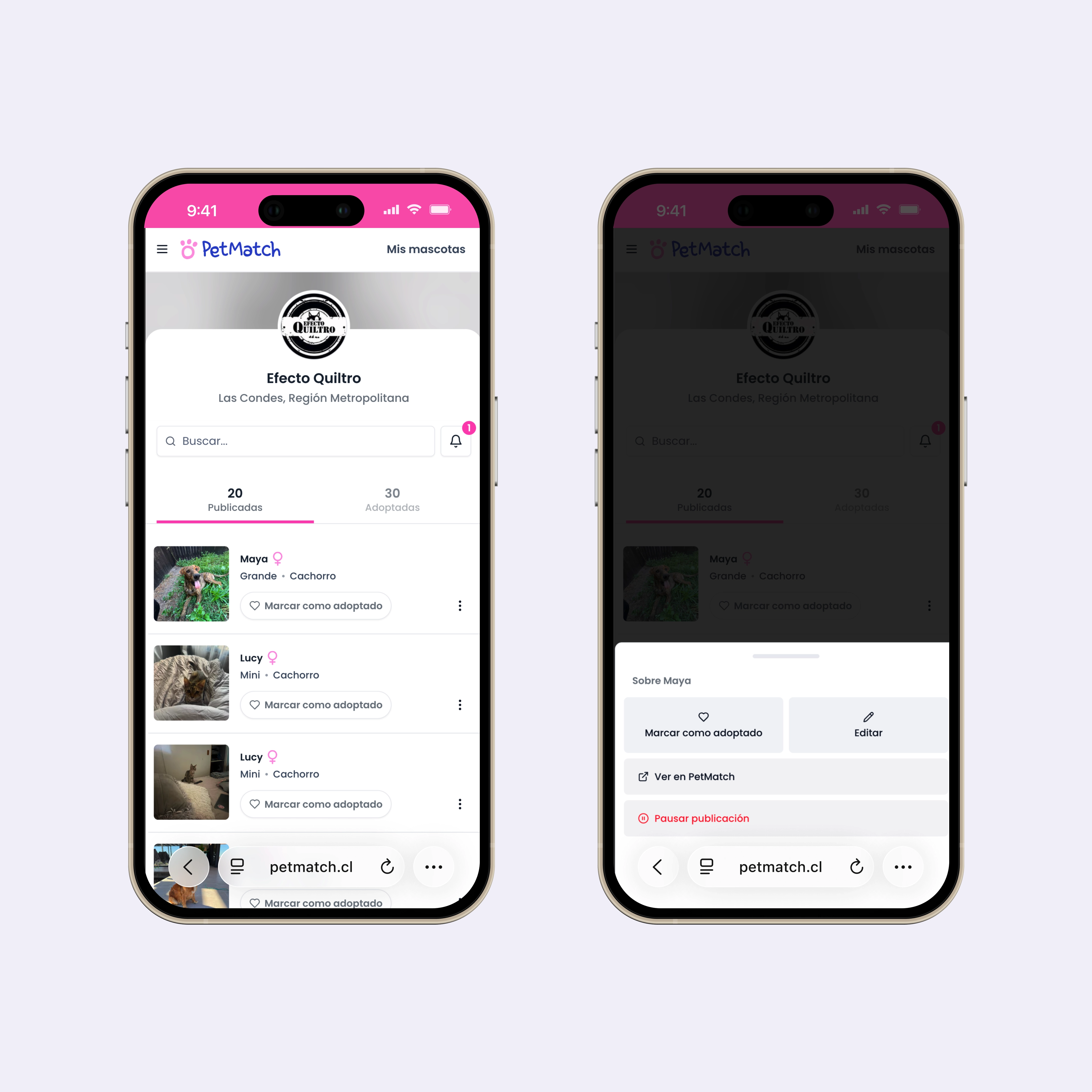 PetMatch flujo refugios