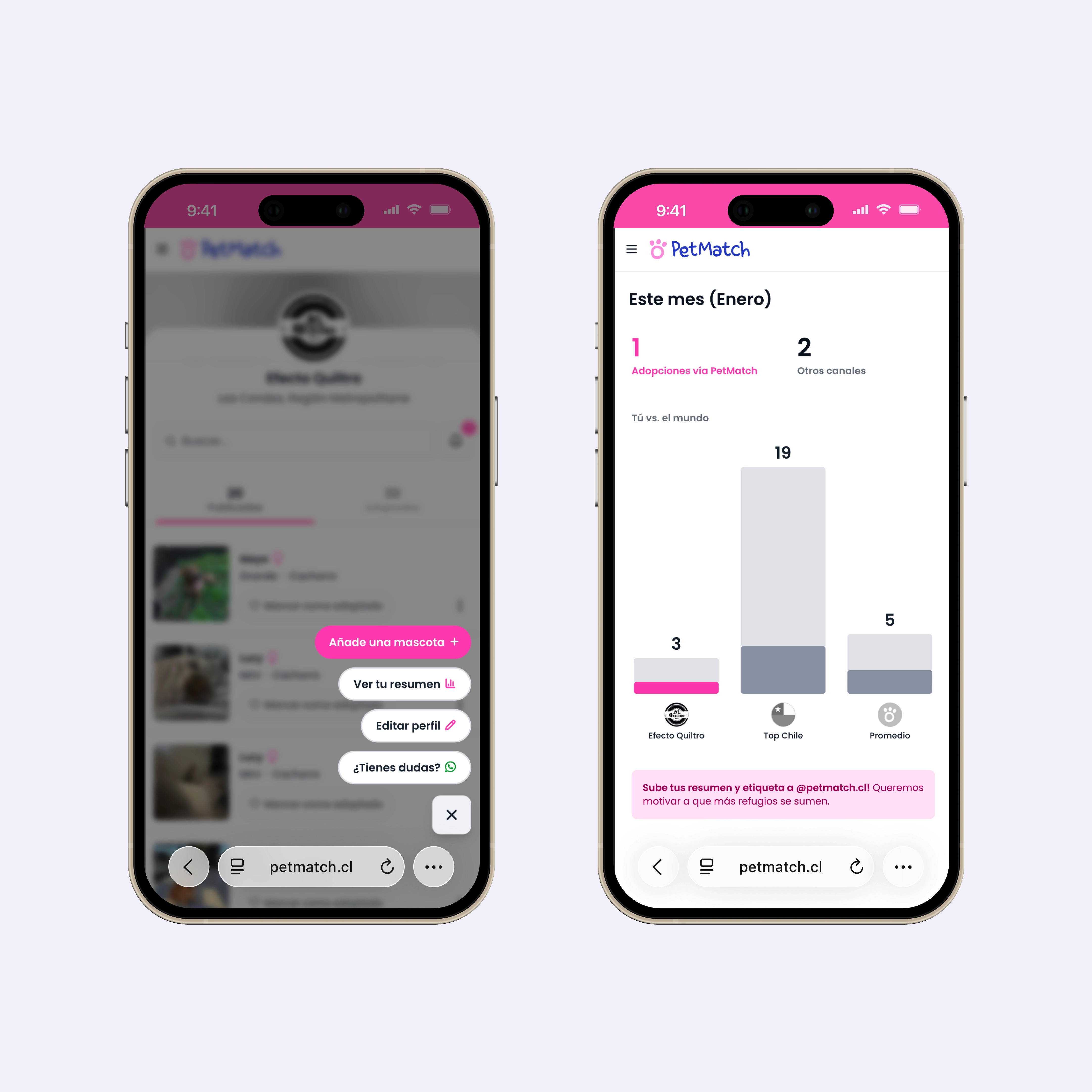 PetMatch flujo resumen de refugios
