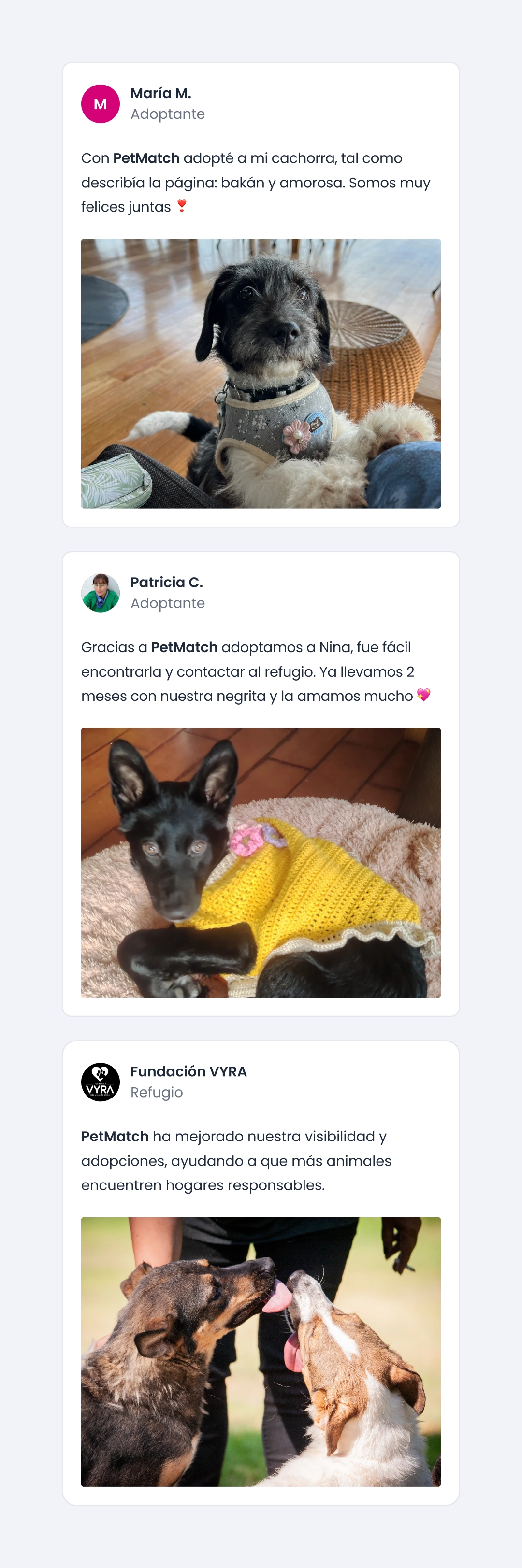 PetMatch testimonios